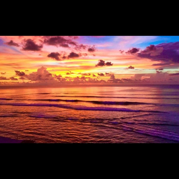 Meet your Posher, Tara - Picture 1 of 1